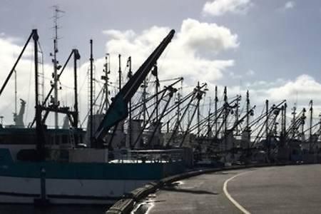 Port Lincoln Shark Apartment 1 외부 사진