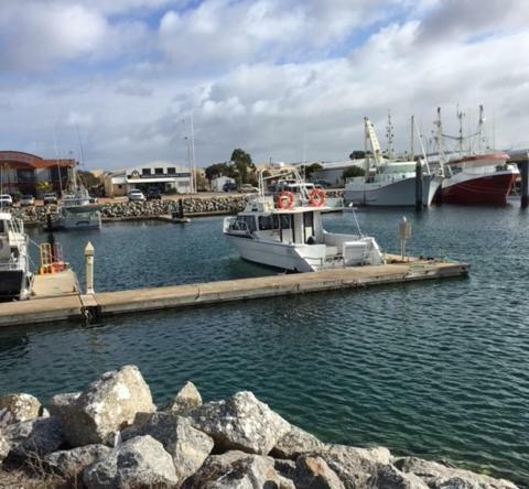 Port Lincoln Shark Apartment 1 외부 사진